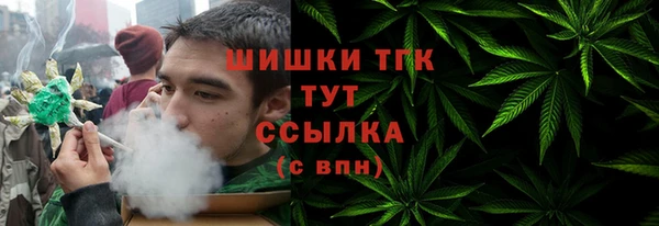 прущие грибы Богданович
