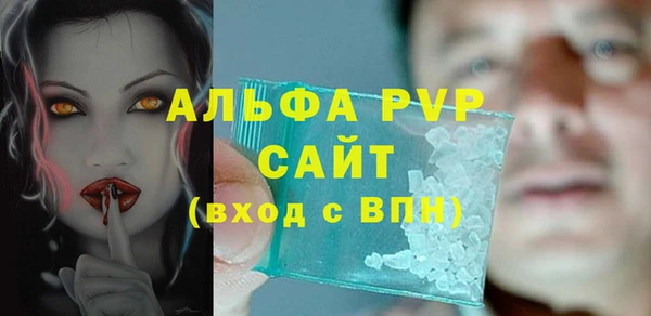прущие грибы Богданович