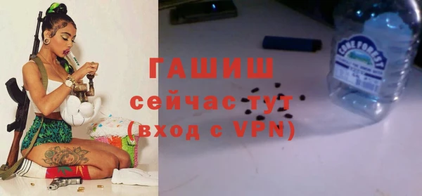 прущие грибы Богданович