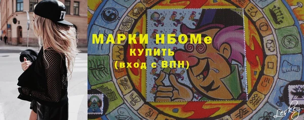 мдпв Богородск