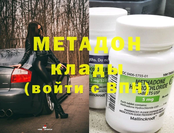 прущие грибы Богданович