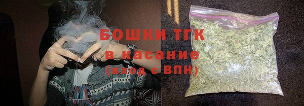 прущие грибы Богданович