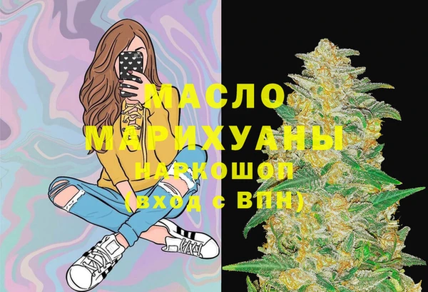 мдпв Богородск