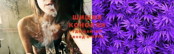 мдпв Богородск