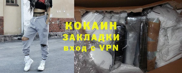 прущие грибы Богданович