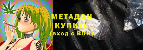 прущие грибы Богданович