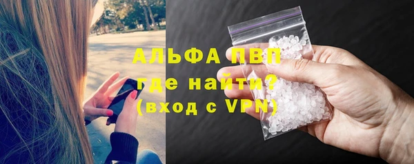 прущие грибы Богданович