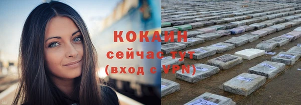 мдпв Богородск