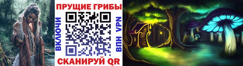 kraken зеркало Бузулук Галлюциногенные грибы Psilocybine cubensis цены