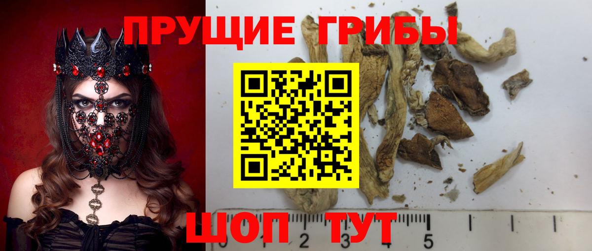 Галлюциногенные грибы Magic Shrooms Бузулук