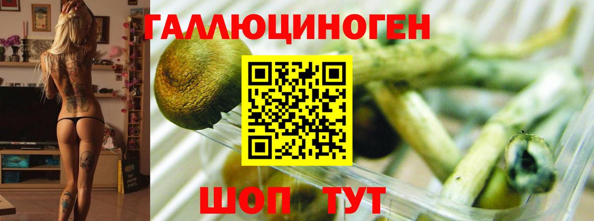 Кокаин  Бузулук  Гашиш  ЭКСТАЗИ  Канабис  Меф МЯУ МЯУ   Марихуана 