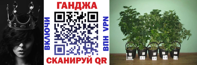 МАРИХУАНА THC 21%  закладка  Бузулук 